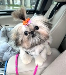 Ava Going on a Car Ride.  Just Adorable!