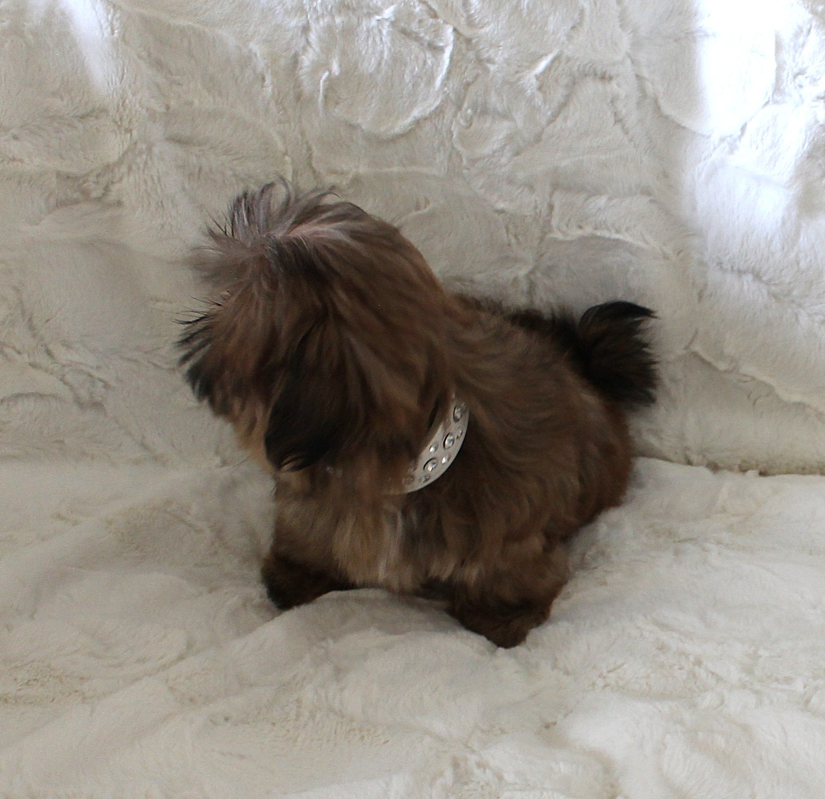 SNICKERS