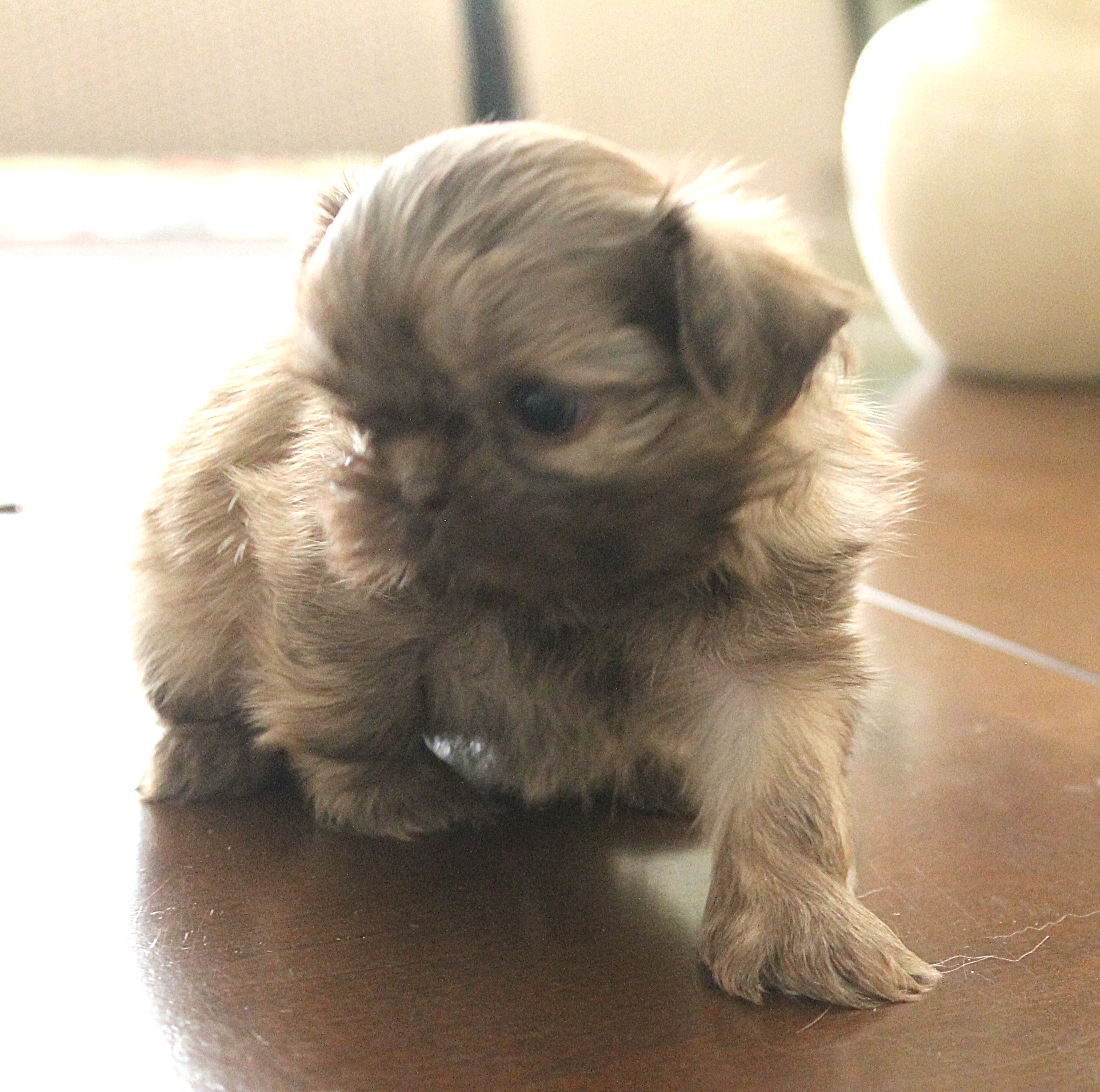 Walter has Stolen his new Mom's heart.