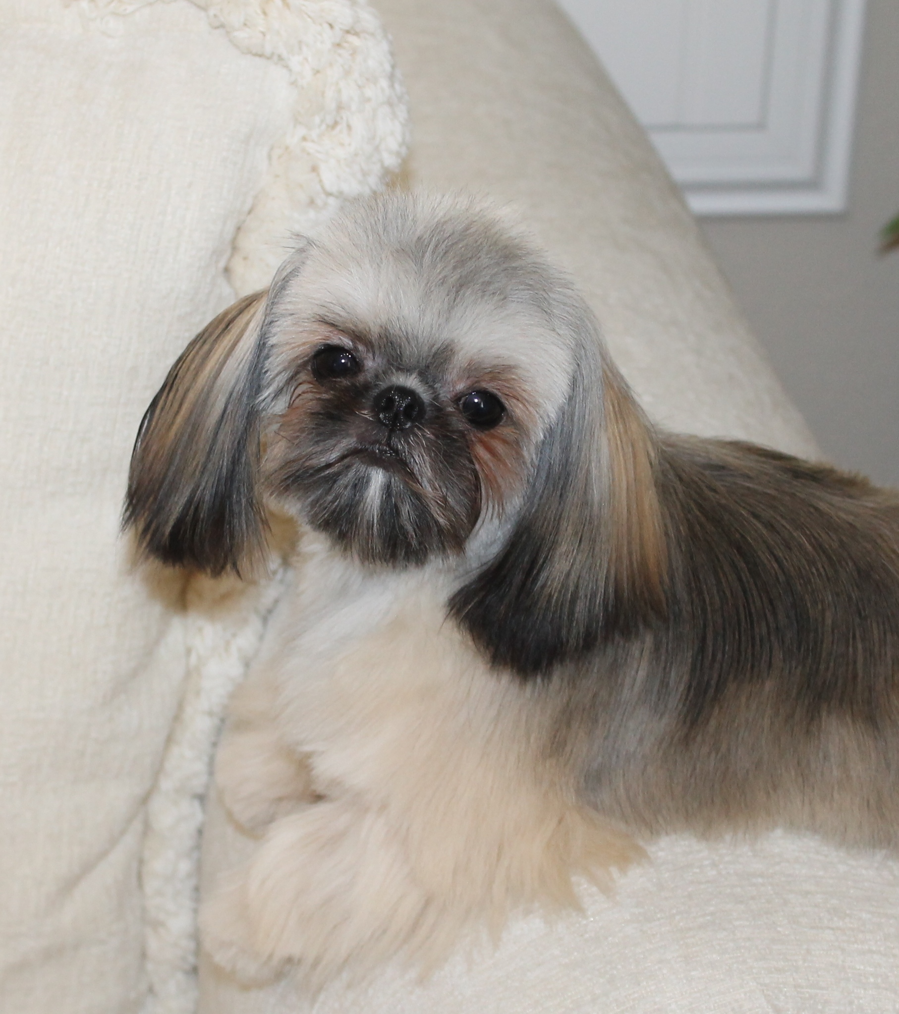 Lilah's First Hair Cut at 5 Months Old.