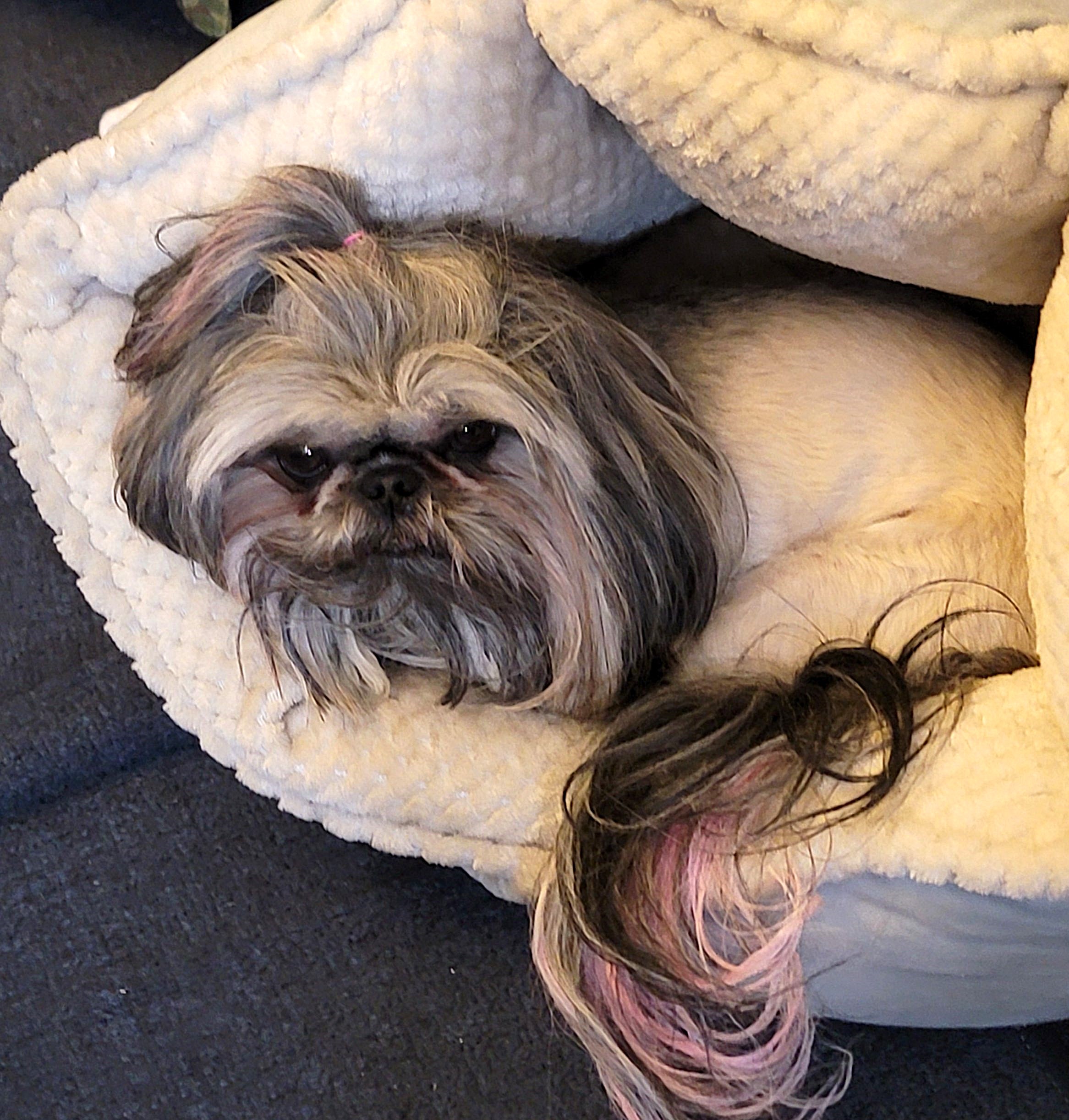 Hazel is getting ready for her nap. She is such a Blessing to her family. She is 3 Years Old now.